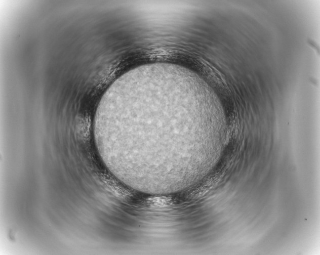 X0000093400660200711020936