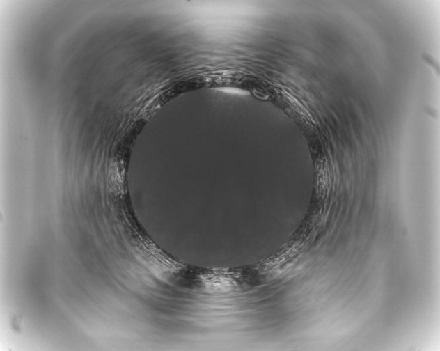 X0000093400661200711020936