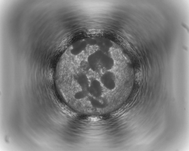 X0000093400662200711020936