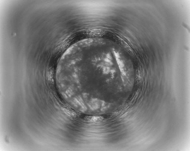 X0000093400663200711020936