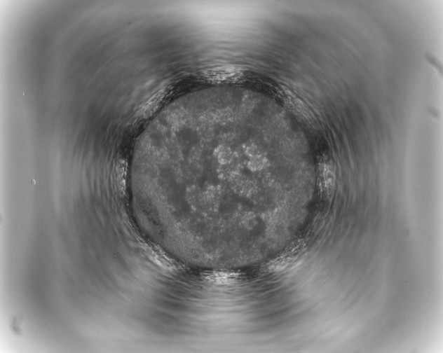 X0000093400664200711020936