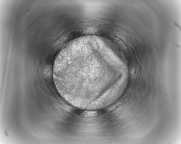 X0000093400665200711020936