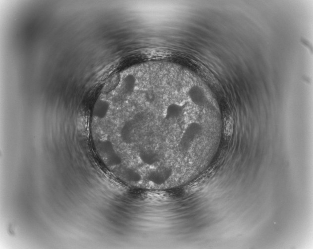 X0000093400666200711020936