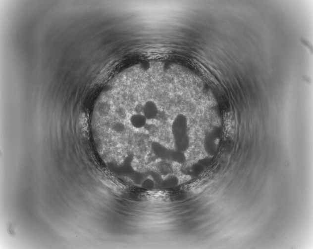 X0000093400667200711020936