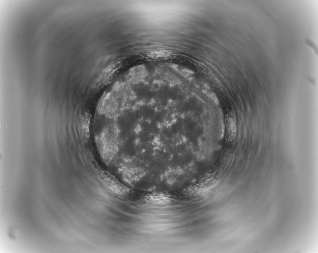 X0000093400668200711020936