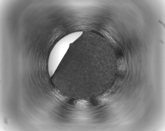 X0000093400669200711020936