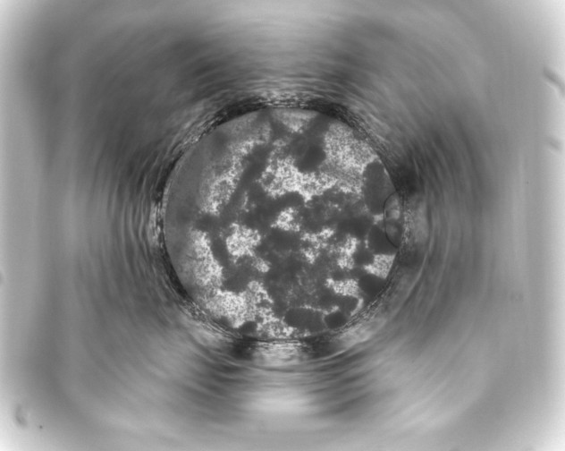 X0000093400671200711020936