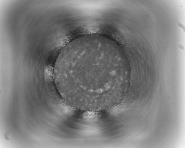 X0000093400672200711020936