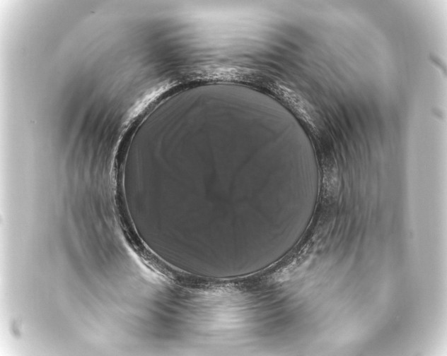 X0000093400674200711020935