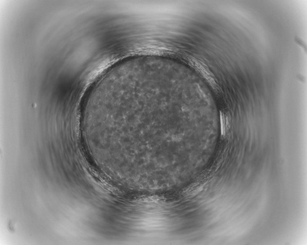 X0000093400675200711020935