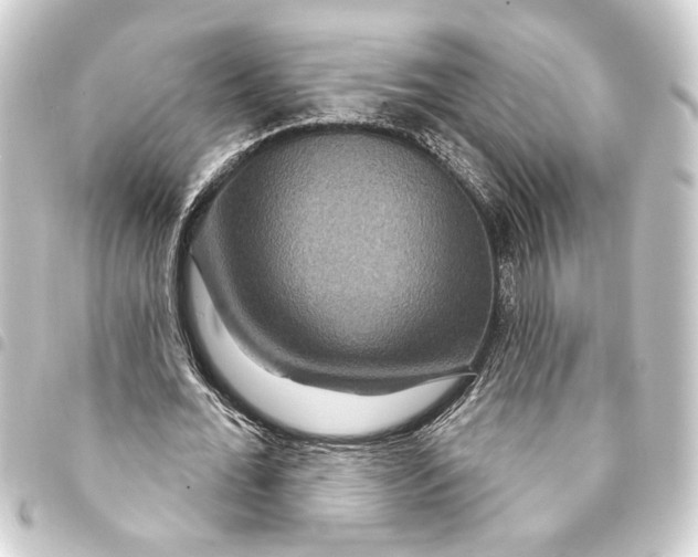 X0000093400676200711020935