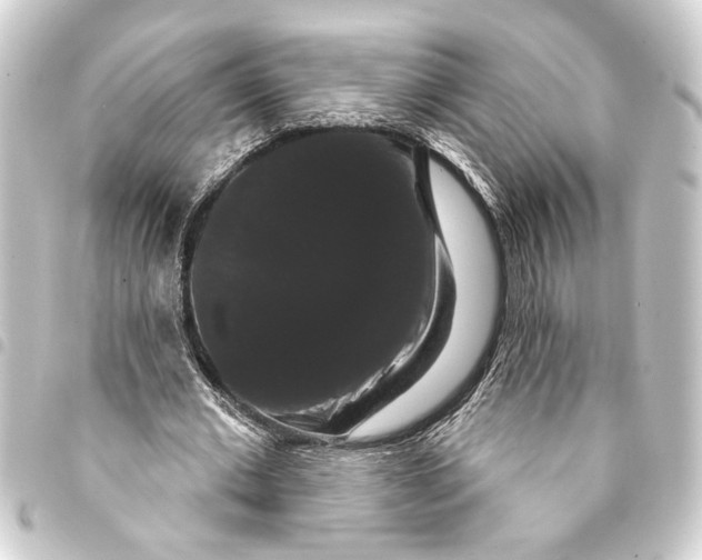 X0000093400677200711020935