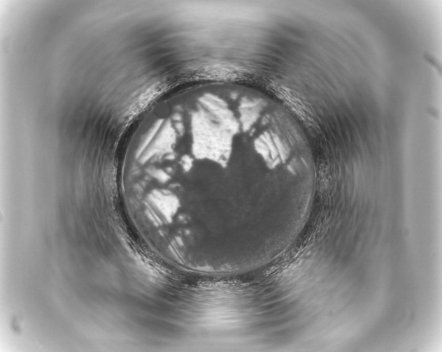 X0000093400679200711020935