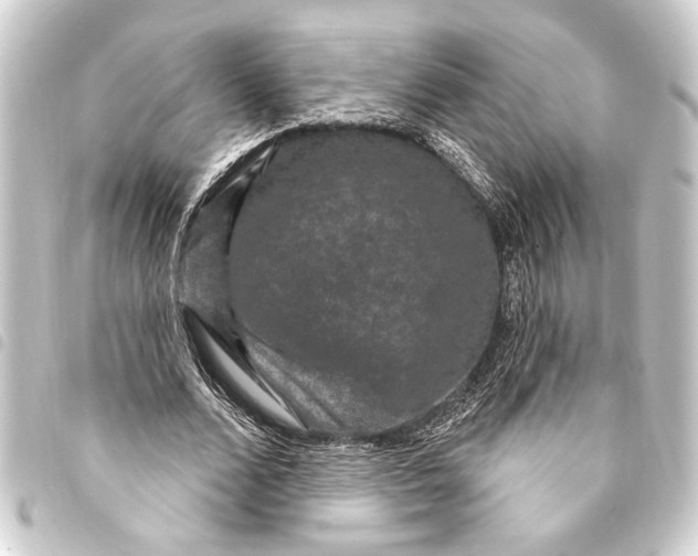 X0000093400680200711020935