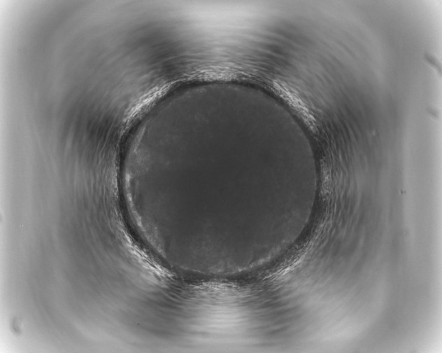 X0000093400681200711020935