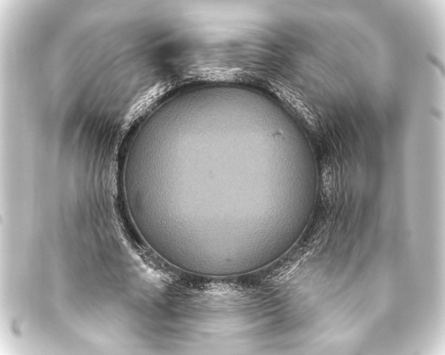 X0000093400682200711020935