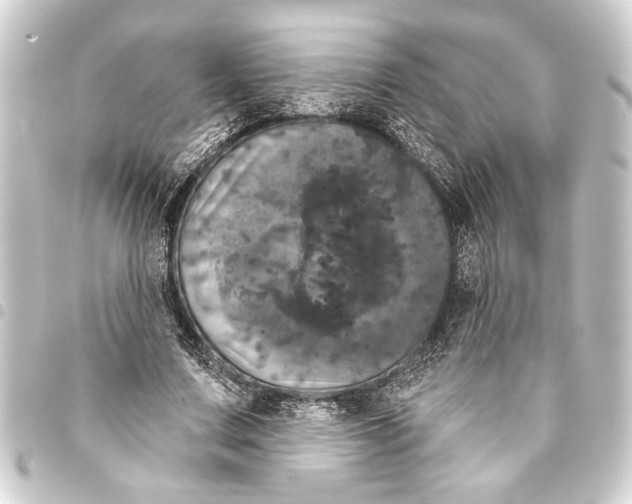 X0000093400683200711020935