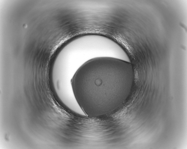 X0000093400684200711020935