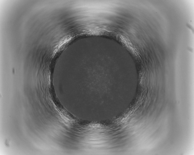 X0000093400685200711020935