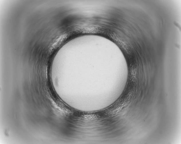 X0000093400686200711020935