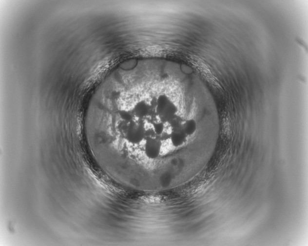 X0000093400687200711020935