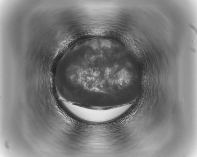 X0000093400688200711020935