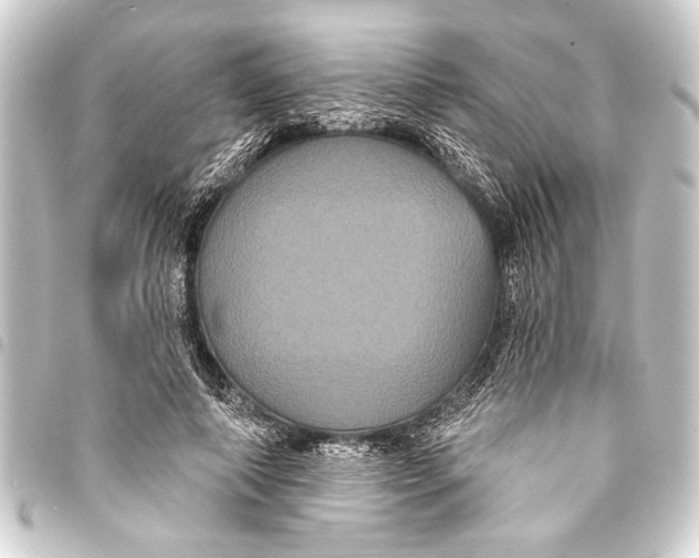 X0000093400690200711020935