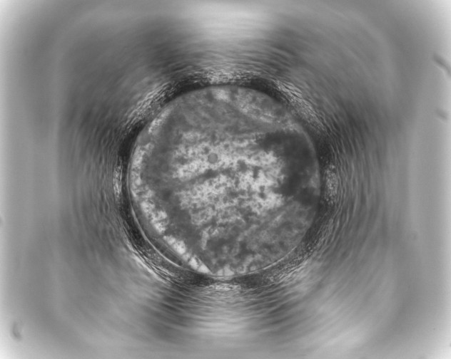 X0000093400691200711020935