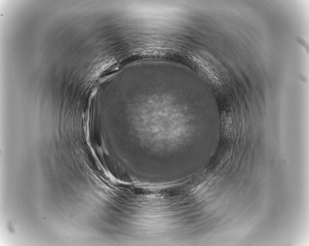 X0000093400692200711020935