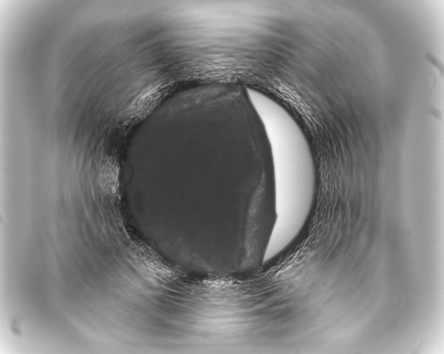 X0000093400693200711020935