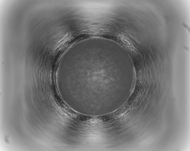 X0000093400696200711020935