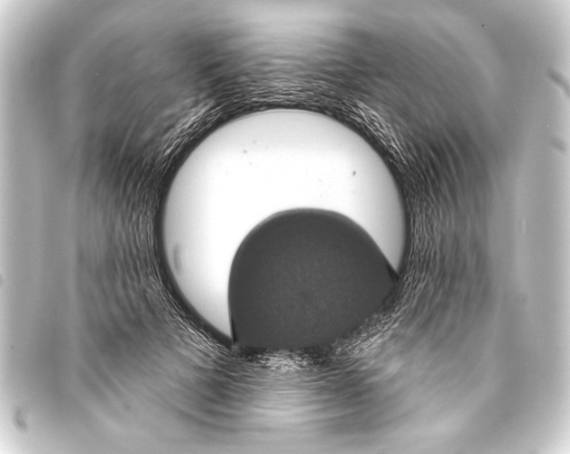 X0000093400697200711020935