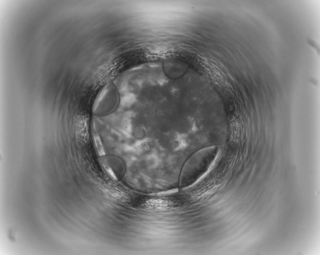 X0000093400699200711020935