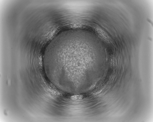 X0000093400700200711020935