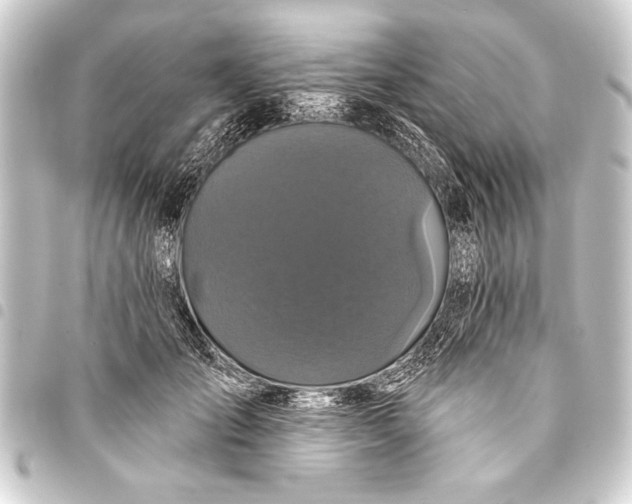 X0000093400701200711020935