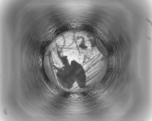 X0000093400703200711020935