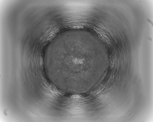 X0000093400704200711020935