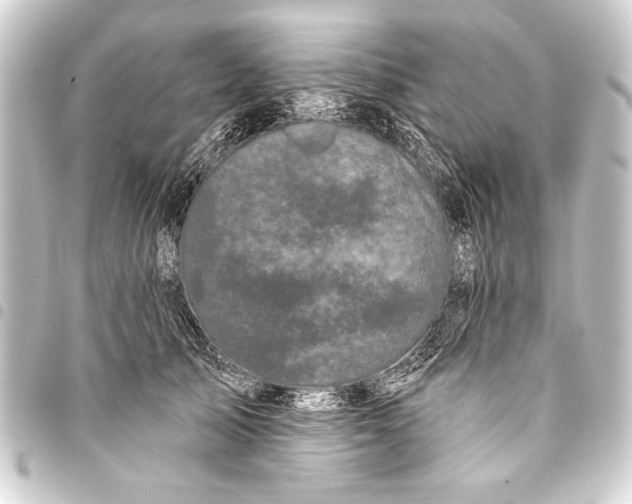 X0000093400705200711020935