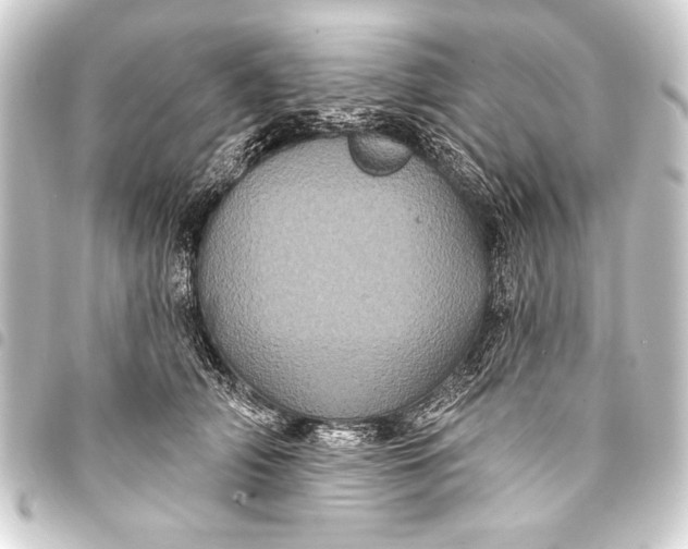 X0000093400706200711020935