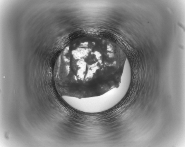 X0000093400707200711020935