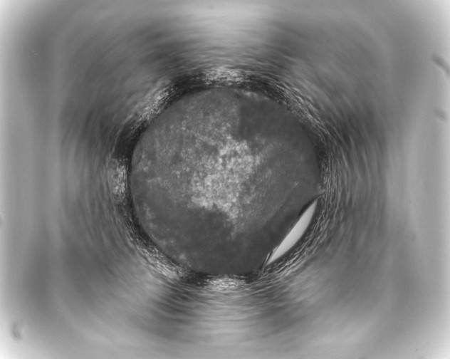 X0000093400708200711020935