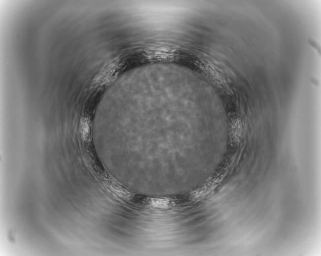 X0000093400709200711020935