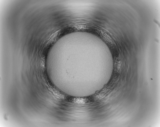 X0000093400710200711020935