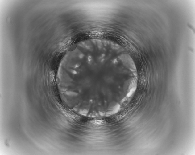 X0000093400711200711020935