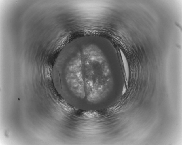 X0000093400712200711020935