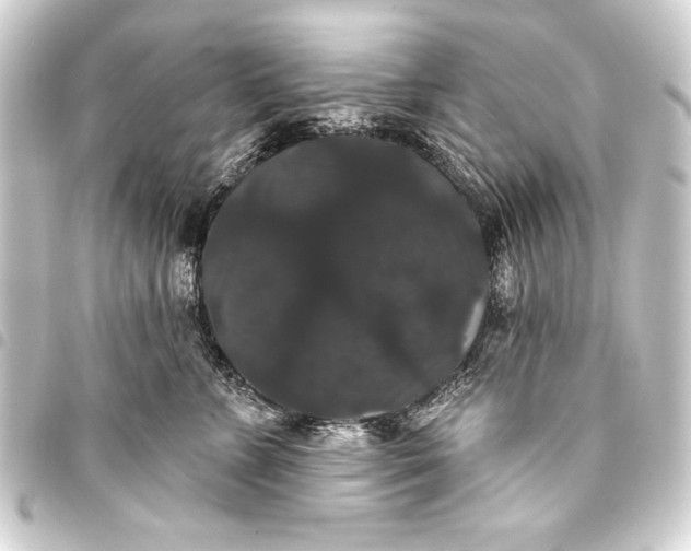 X0000093400715200711020935