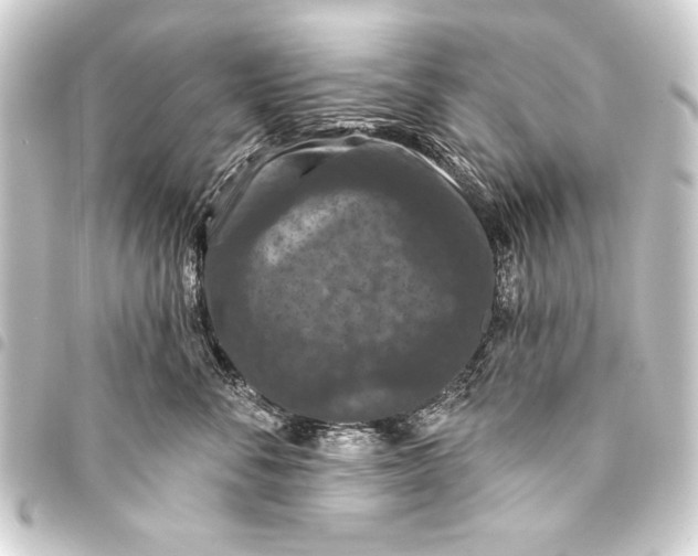 X0000093400716200711020935