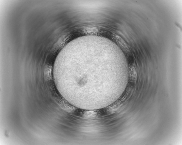 X0000093400717200711020935