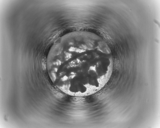 X0000093400719200711020935