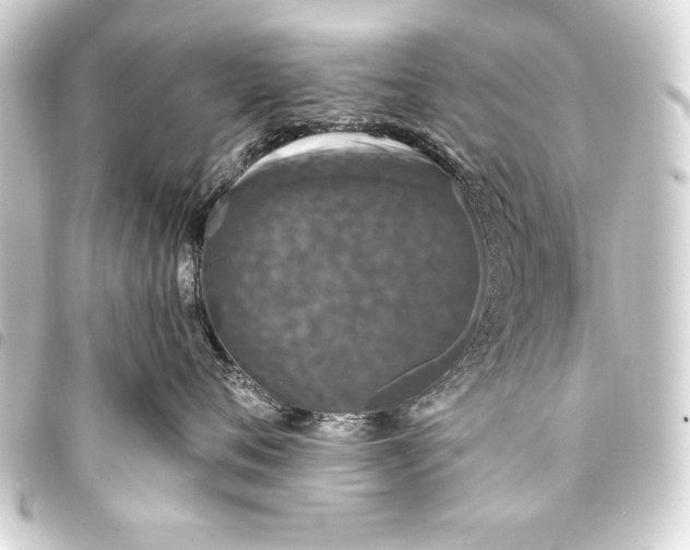 X0000093400720200711020935